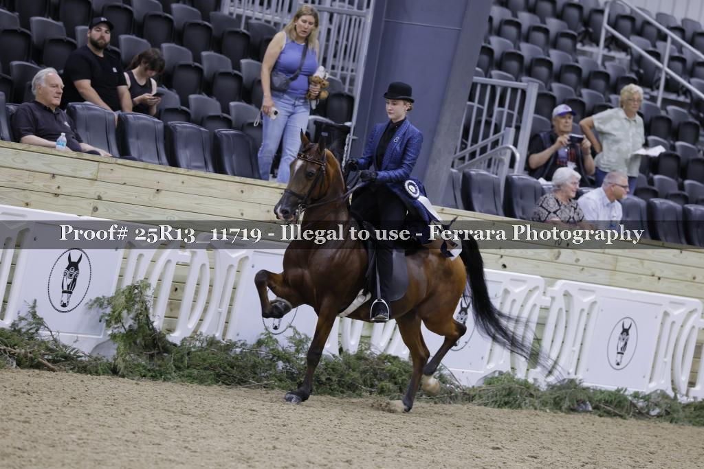 Proof 25R13_11719