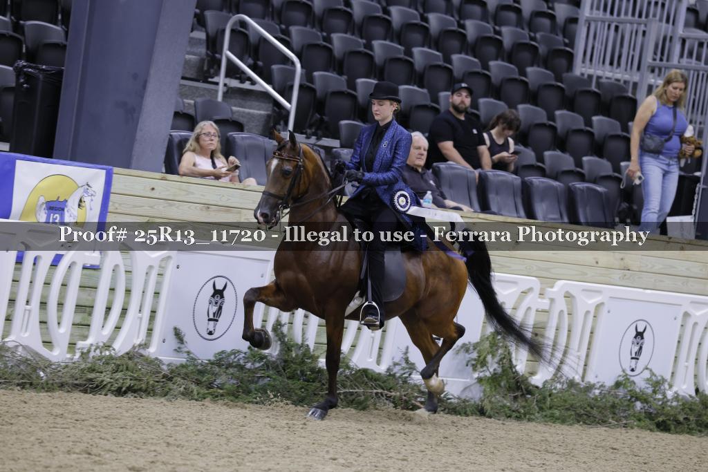 Proof 25R13_11720