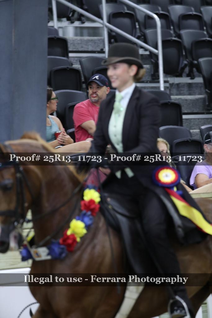 Proof 25R13_11723