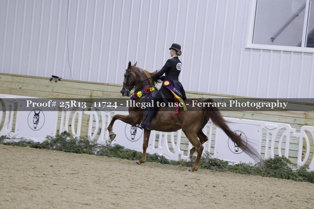 Proof 25R13_11724