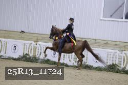 25R13_11724 proof