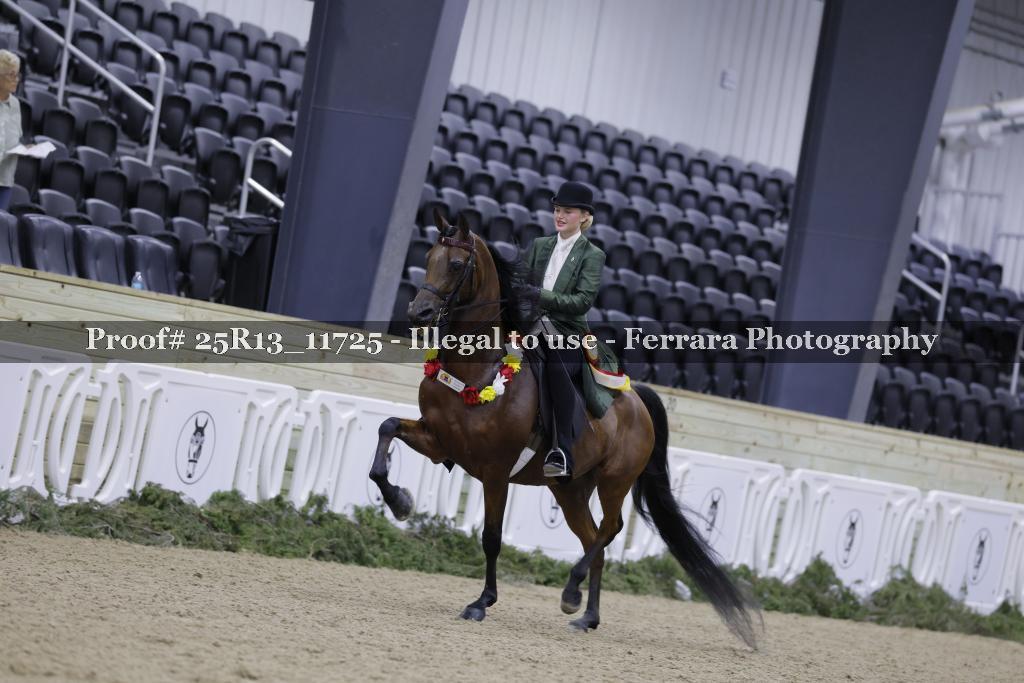 Proof 25R13_11725