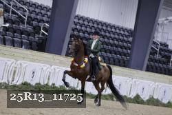 25R13_11725 proof