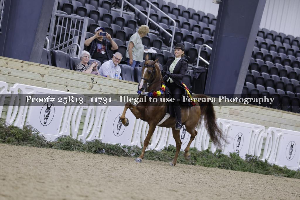 Proof 25R13_11731