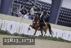 25R13_11731 proof