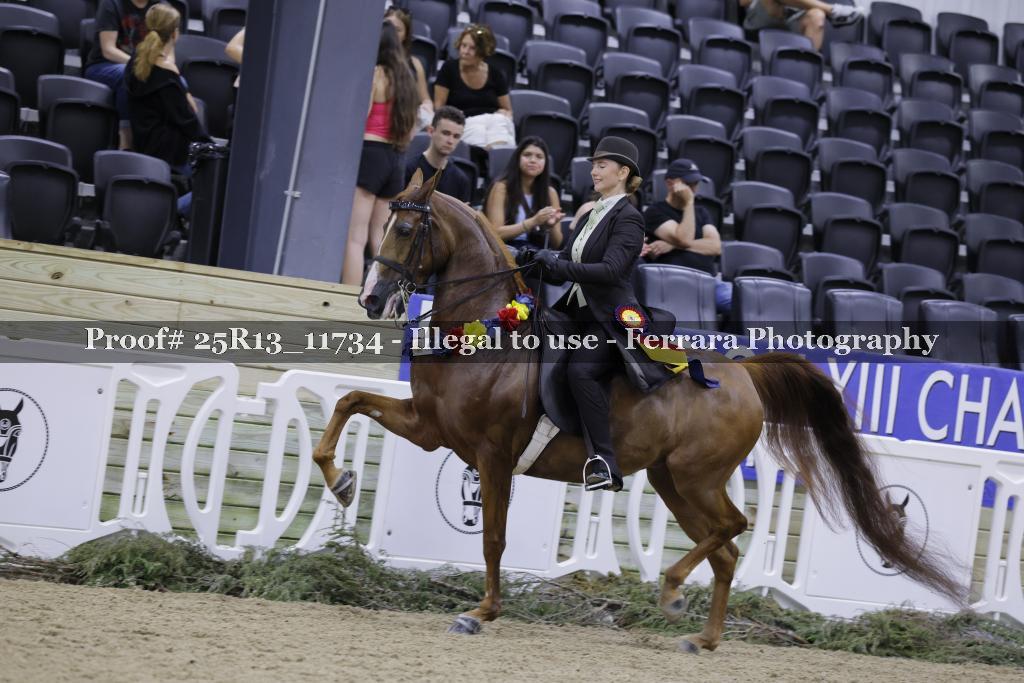Proof 25R13_11734