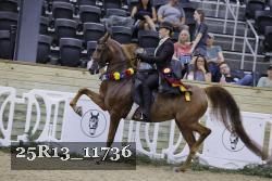 25R13_11736 proof