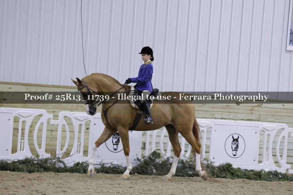 Proof 25R13_11739