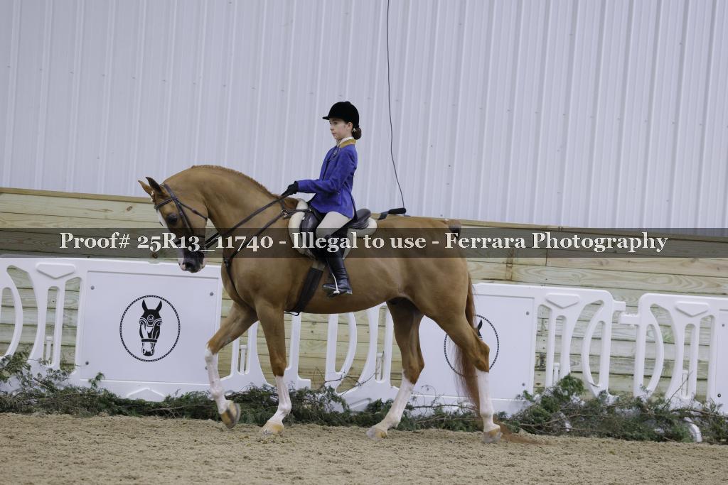 Proof 25R13_11740