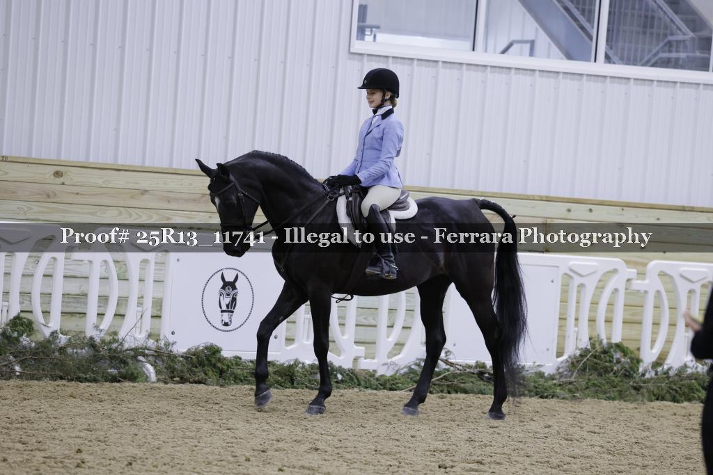 Proof 25R13_11741