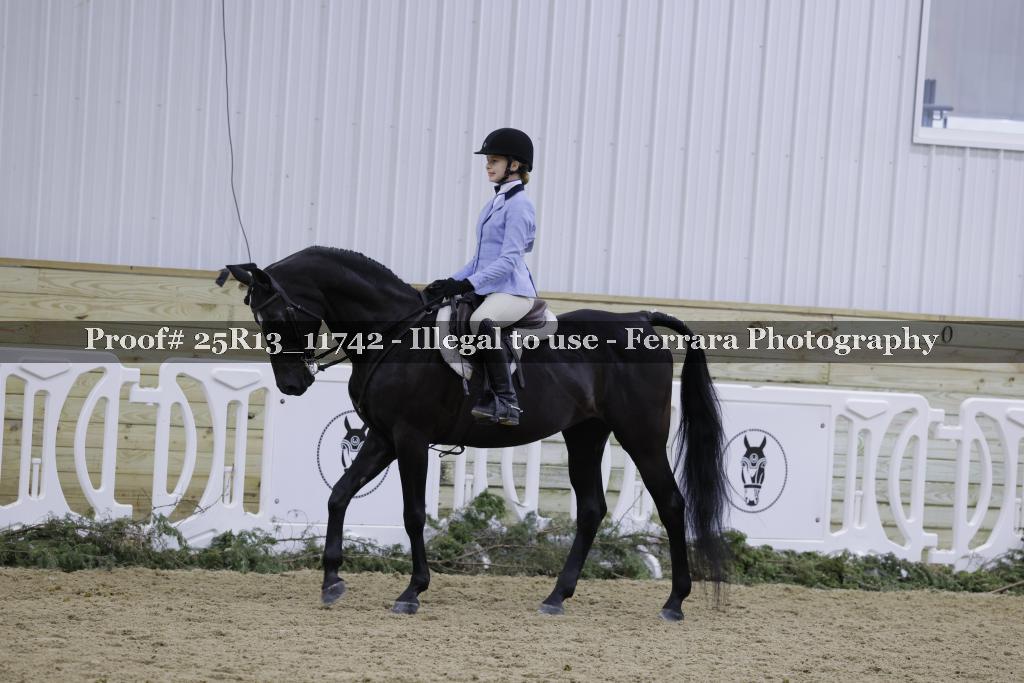 Proof 25R13_11742