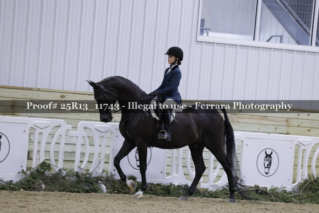 Proof 25R13_11743
