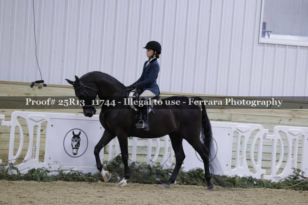 Proof 25R13_11744