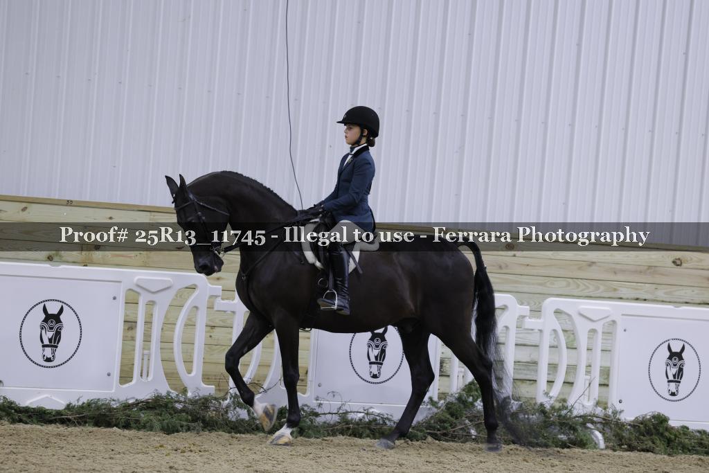 Proof 25R13_11745