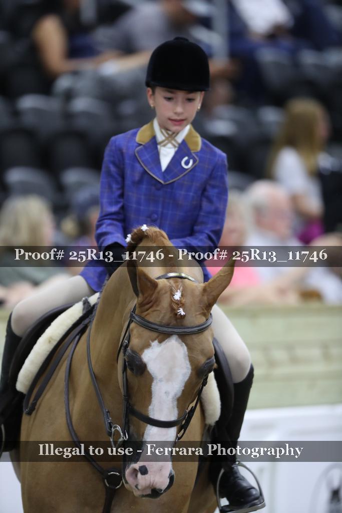Proof 25R13_11746