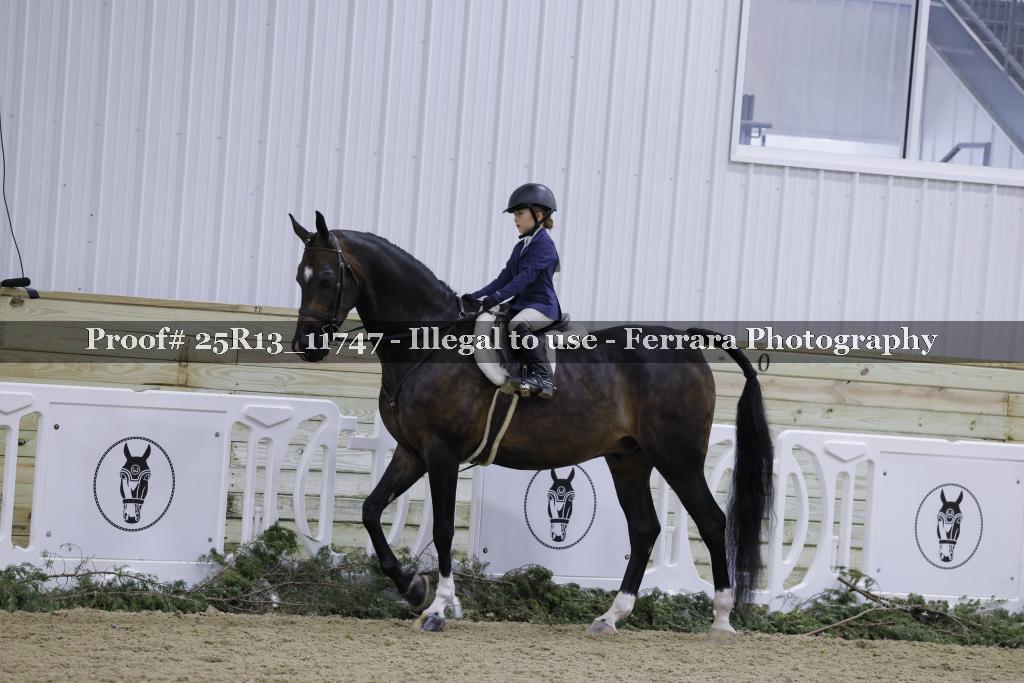 Proof 25R13_11747