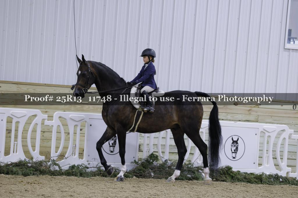 Proof 25R13_11748