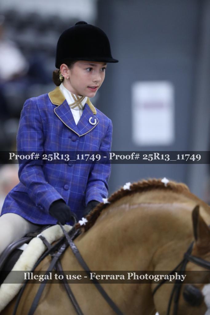 Proof 25R13_11749