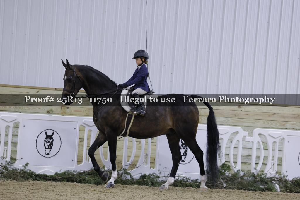 Proof 25R13_11750