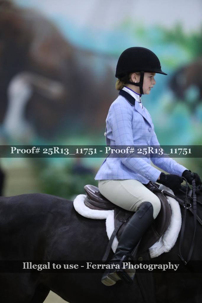 Proof 25R13_11751