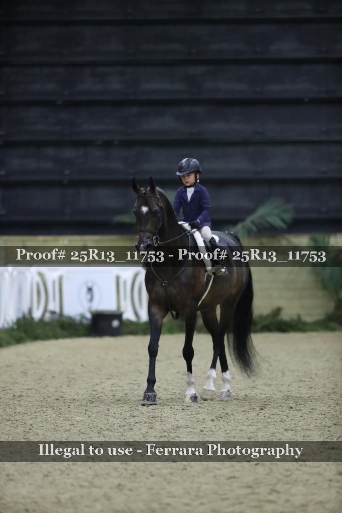 Proof 25R13_11753