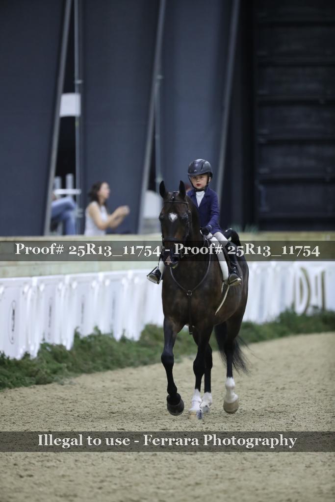 Proof 25R13_11754