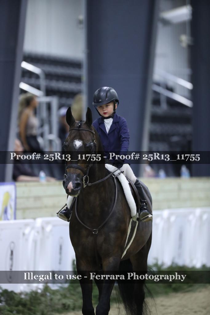 Proof 25R13_11755