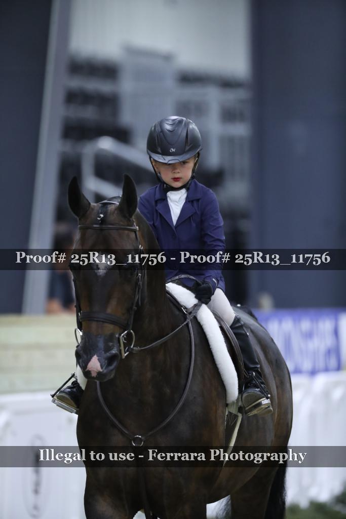 Proof 25R13_11756
