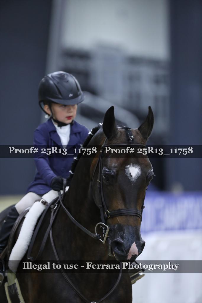 Proof 25R13_11758