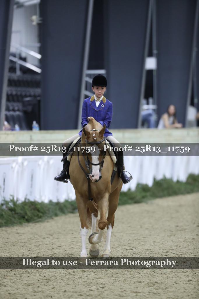 Proof 25R13_11759
