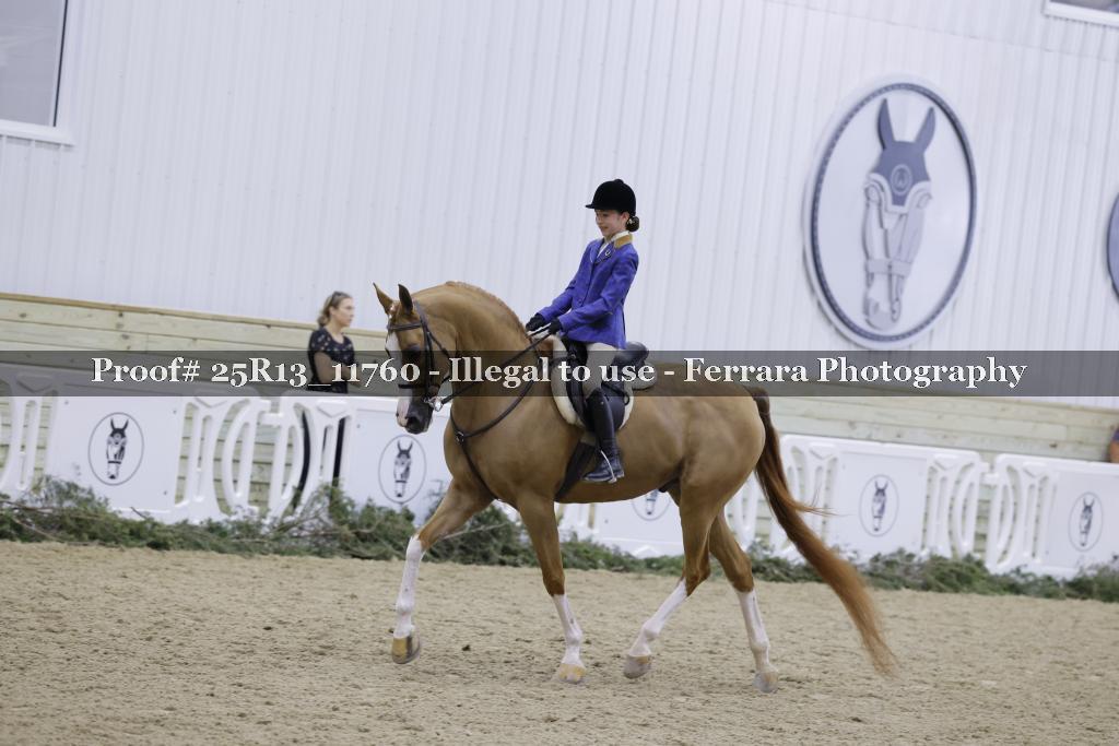 Proof 25R13_11760
