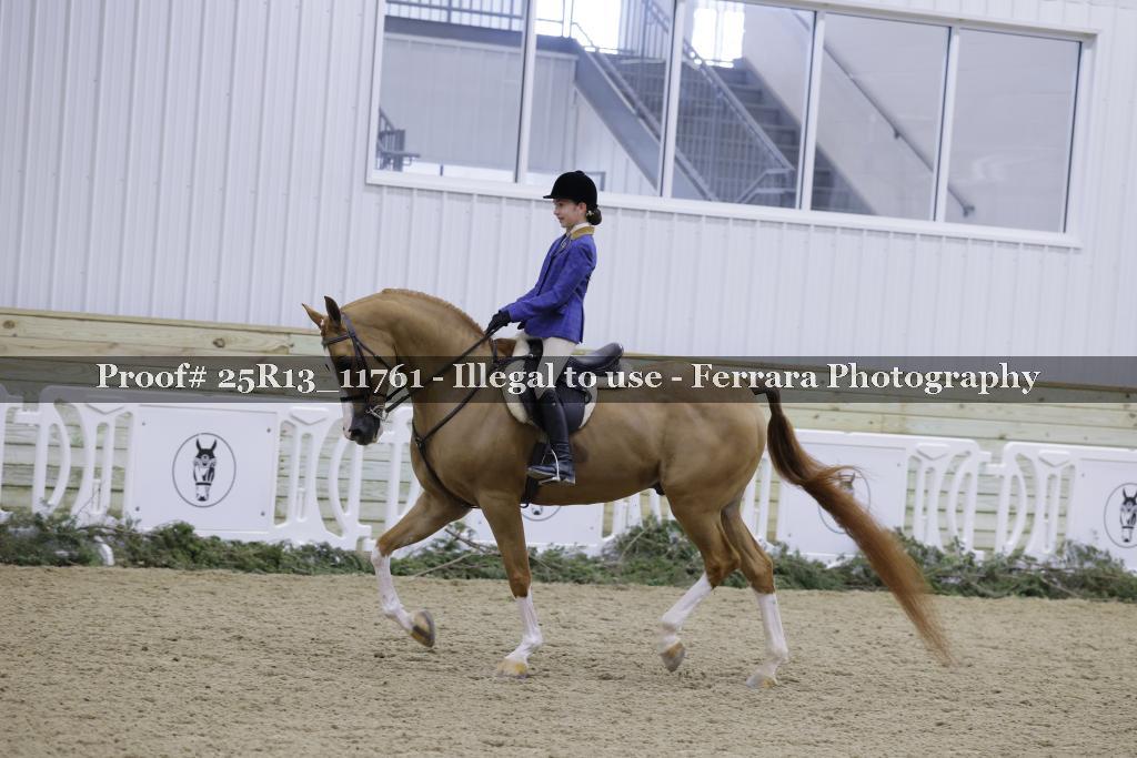Proof 25R13_11761