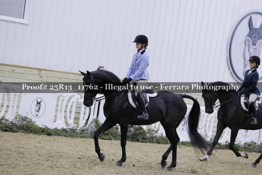 Proof 25R13_11762