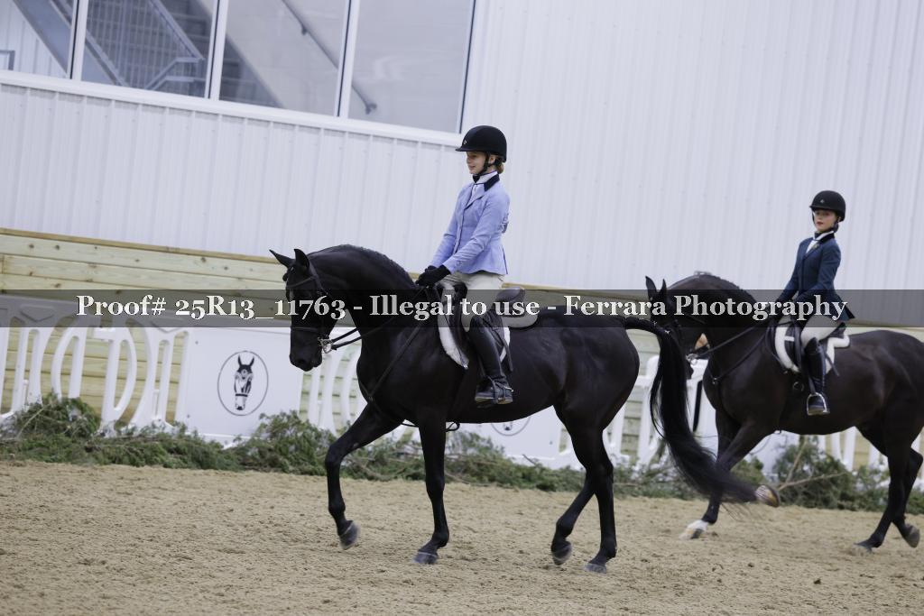 Proof 25R13_11763