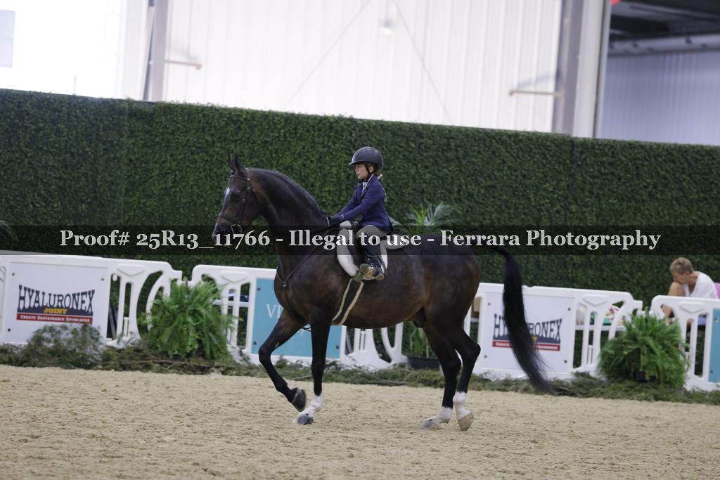 Proof 25R13_11766