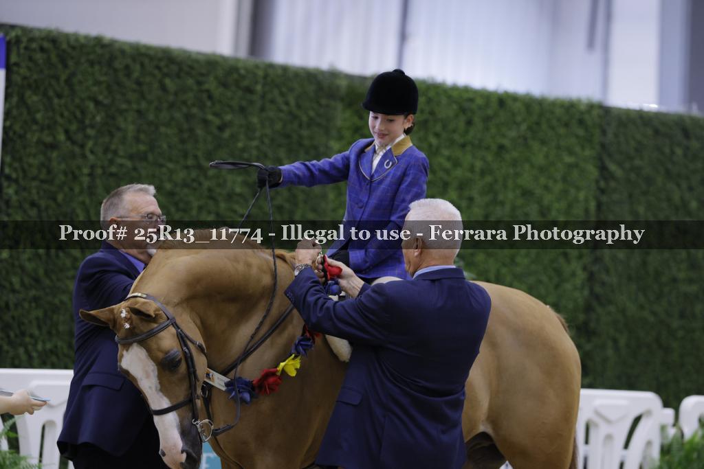 Proof 25R13_11774