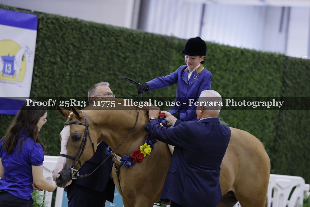 Proof 25R13_11775