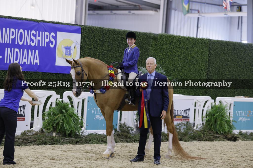 Proof 25R13_11776
