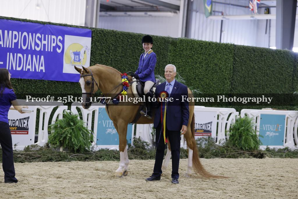 Proof 25R13_11777