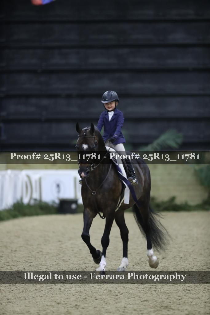 Proof 25R13_11781