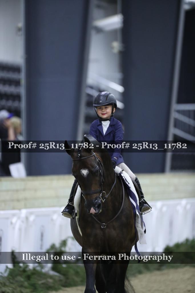 Proof 25R13_11782