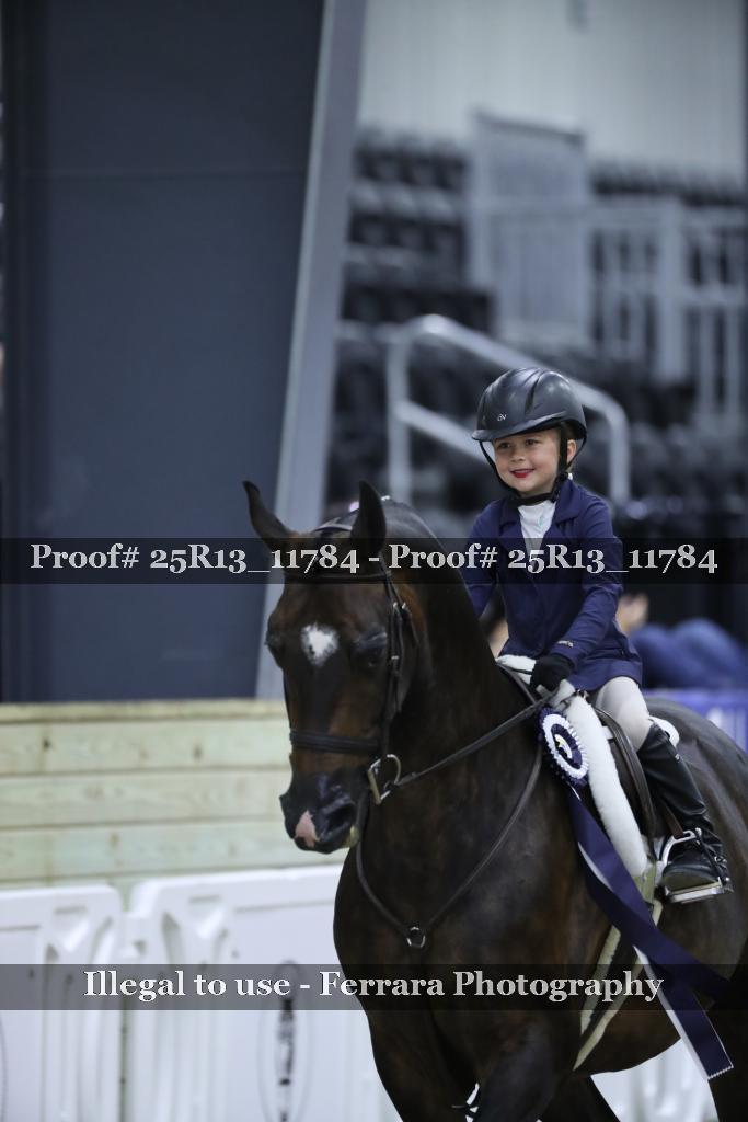 Proof 25R13_11784