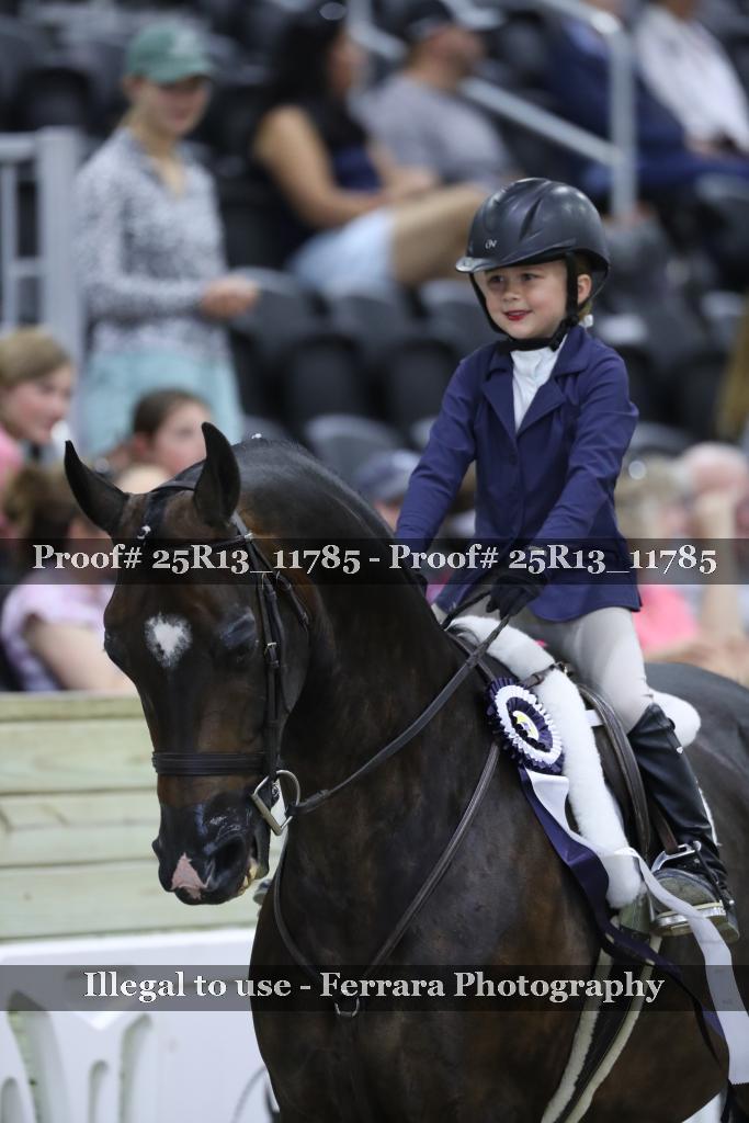 Proof 25R13_11785