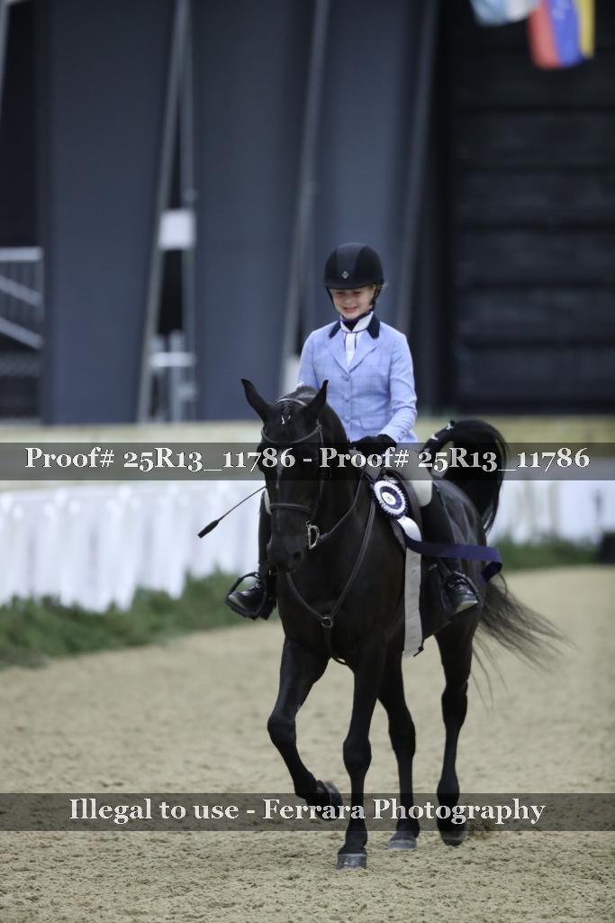Proof 25R13_11786