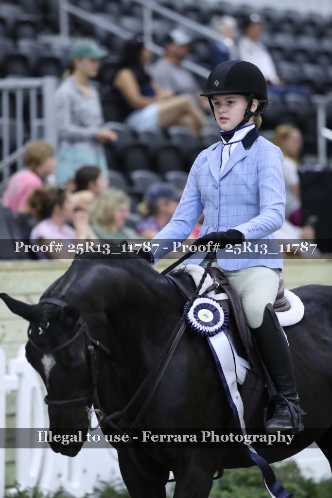 Proof 25R13_11787