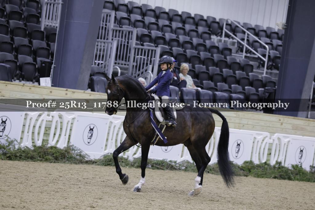 Proof 25R13_11788