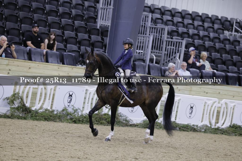 Proof 25R13_11789