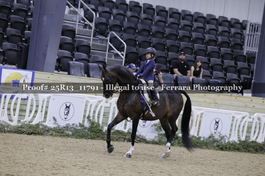 Proof 25R13_11791