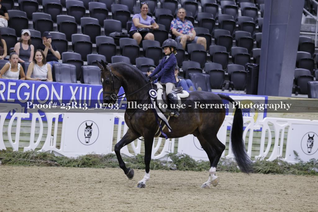 Proof 25R13_11793