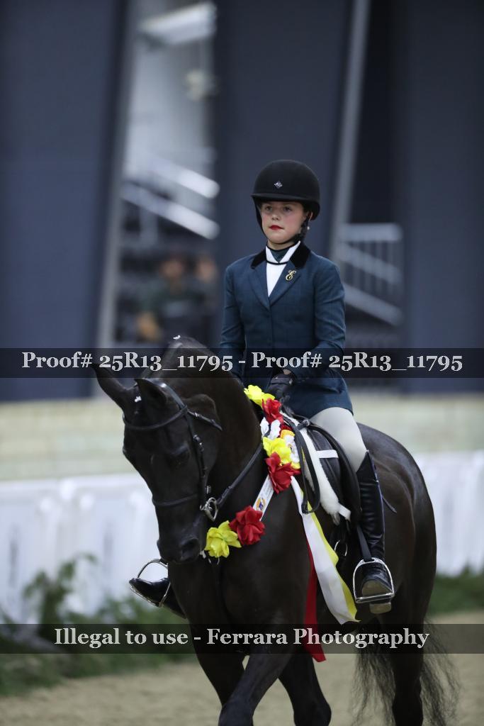 Proof 25R13_11795